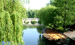 The City of Cambridge